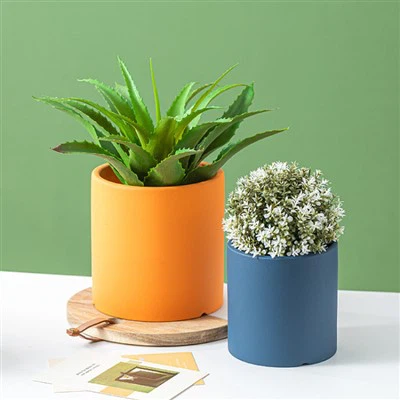 Pot Planhigyn Ceramig Dan Do